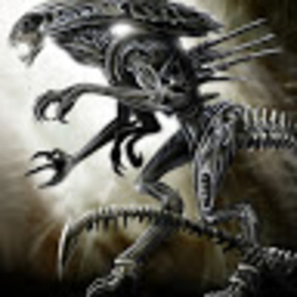 Meet your Posher, Donna - Picture 1 of 1